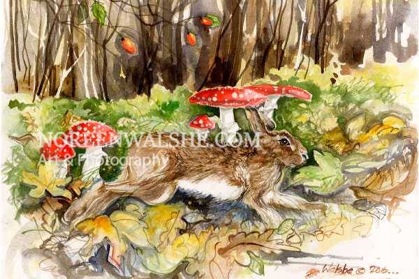 Toadstools