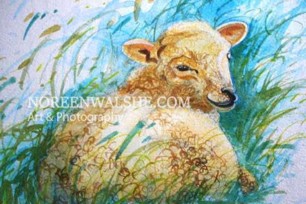 lamb